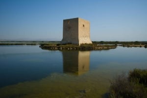 Torrevieja: Lokal marknad och panoramisk tur