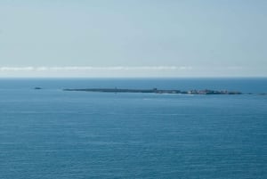 Torrevieja: Lokal marknad och panoramisk tur