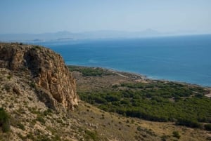 Torrevieja: Lokal marknad och panoramisk tur