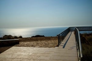 Torrevieja: Lokal marknad och panoramisk tur