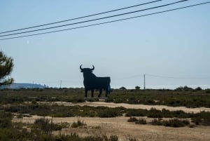 Village Street Market: Santa Pola