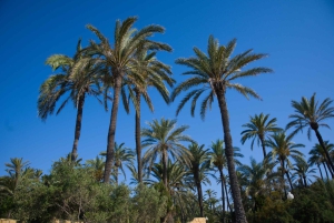 Village Street Market: Santa Pola