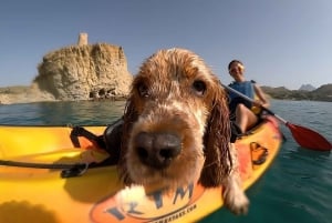 Villajoyosa: Kayaking with the man's best friend, your dog