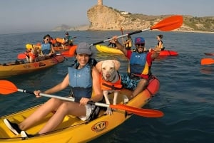 Villajoyosa: Kayaking with the man's best friend, your dog