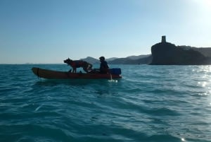 Villajoyosa: Kayaking with the man's best friend, your dog