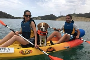 Villajoyosa: Kayaking with the man's best friend, your dog