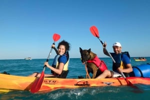 Villajoyosa: Kayaking with the man's best friend, your dog