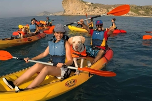 ビジャホヨサ: 男の親友であるあなたの犬と一緒にカヤックに乗る