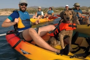 ビジャホヨサ: 男の親友であるあなたの犬と一緒にカヤックに乗る