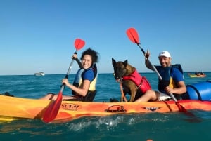 ビジャホヨサ: 男の親友であるあなたの犬と一緒にカヤックに乗る