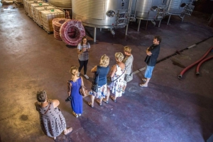 Vineyards of  Wine Tasting Tour