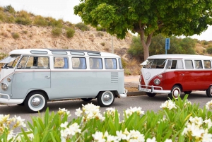 Vintage Tour around Alicante in genuine Kombi T1 vans