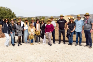 Expérience œnologique VIP | Les domaines cachés de la Costa Blanca