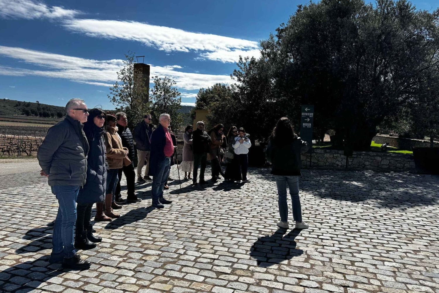 地元のワイナリー訪問：アリカンテ発、フォンディリョン博物館とアルマザラへのバンでの移動