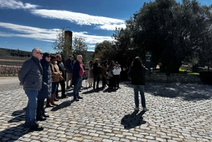 地元のワイナリー訪問：アリカンテ発、フォンディリョン博物館とアルマザラへのバンでの移動