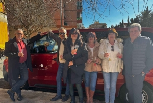 地元のワイナリー訪問：アリカンテ発、フォンディリョン博物館とアルマザラへのバンでの移動