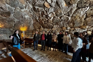 地元のワイナリー訪問：アリカンテ発、フォンディリョン博物館とアルマザラへのバンでの移動