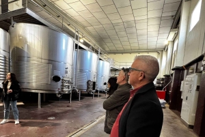 地元のワイナリー訪問：アリカンテ発、フォンディリョン博物館とアルマザラへのバンでの移動