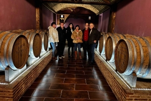 地元のワイナリー訪問：アリカンテ発、フォンディリョン博物館とアルマザラへのバンでの移動