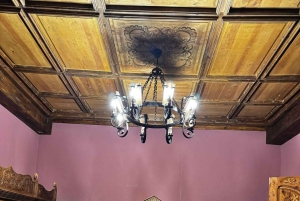 地元のワイナリー訪問：アリカンテ発、フォンディリョン博物館とアルマザラへのバンでの移動