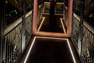 地元のワイナリー訪問：アリカンテ発、フォンディリョン博物館とアルマザラへのバンでの移動