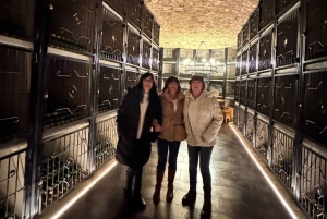 地元のワイナリー訪問：アリカンテ発、フォンディリョン博物館とアルマザラへのバンでの移動