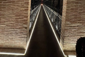 地元のワイナリー訪問：アリカンテ発、フォンディリョン博物館とアルマザラへのバンでの移動