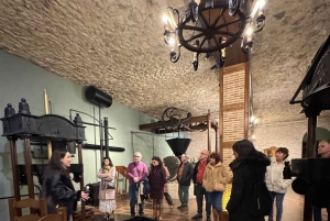 地元のワイナリー訪問：アリカンテ発、フォンディリョン博物館とアルマザラへのバンでの移動