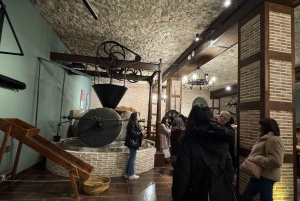 地元のワイナリー訪問：アリカンテ発、フォンディリョン博物館とアルマザラへのバンでの移動