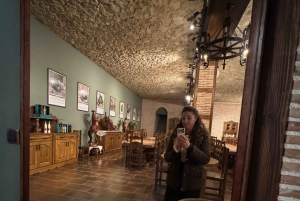 地元のワイナリー訪問：アリカンテ発、フォンディリョン博物館とアルマザラへのバンでの移動