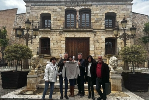 地元のワイナリー訪問：アリカンテ発、フォンディリョン博物館とアルマザラへのバンでの移動