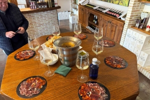 地元のワイナリー訪問：アリカンテ発、フォンディリョン博物館とアルマザラへのバンでの移動