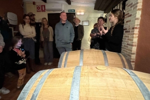 地元のワイナリー訪問：アリカンテ発、フォンディリョン博物館とアルマザラへのバンでの移動