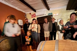 地元のワイナリー訪問：アリカンテ発、フォンディリョン博物館とアルマザラへのバンでの移動