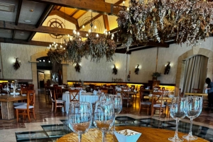 地元のワイナリー訪問：アリカンテ発、フォンディリョン博物館とアルマザラへのバンでの移動