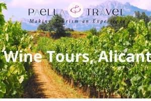 地元のワイナリー訪問：アリカンテ発、フォンディリョン博物館とアルマザラへのバンでの移動