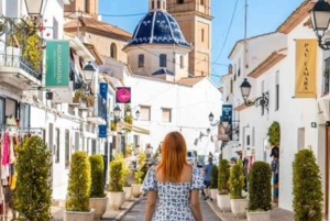 Käy Altea ja käsityöolutpanimo tapasilla minibussilla Alicantesta