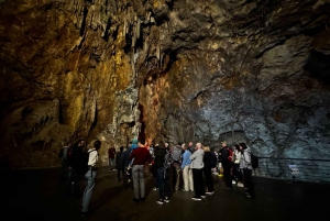 Besøg Cuevas de Canelobre og Museo de Música Étnica i Busot fra Alicante