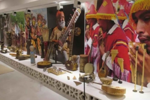 Besøg Cuevas de Canelobre og Museo de Música Étnica i Busot fra Alicante