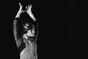 Visit Santa Barbara Castle in Alicante and Flamenco Show, Private Van