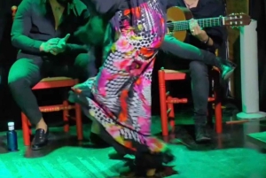 Visit Santa Barbara Castle in Alicante and Flamenco Show, Private Van