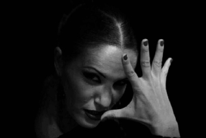 Visit Santa Barbara Castle in Alicante and Flamenco Show, Private Van