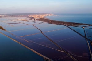 Bezoek Santa Pola en zijn vuurtoren vanuit Alicante met een hapje en een drankje, kleine groepen.