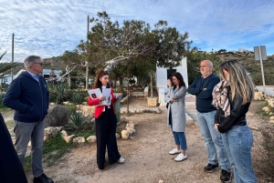 Посетите Санта-Пола и ее маяк из Аликанте с легким перекусом, небольшие группы.