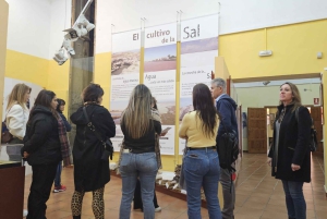 Посетите Санта-Пола и ее маяк из Аликанте с легким перекусом, небольшие группы.