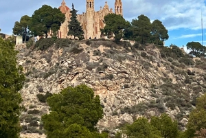 Alicante: Viinikierros 3 viinin maistajaisella ja La Mola -linna