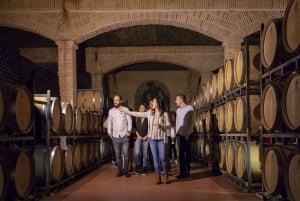 Дегустация вин на лучшей винодельне Испании из Аликанте