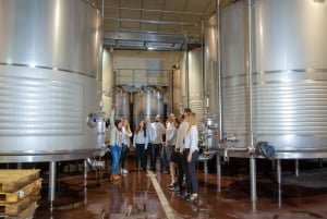 Vinsmaking på den beste vingården i Spania fra Alicante