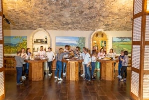 Vinprovning på den bästa vingården i Spanien från Alicante