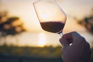 Torrevieja: Local Wine and Food Tasting Tour in La Mata Park